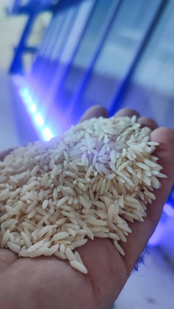 برنج طارم هاشمی اعلا بسته بندی وکیوم 2.5 کیلویی