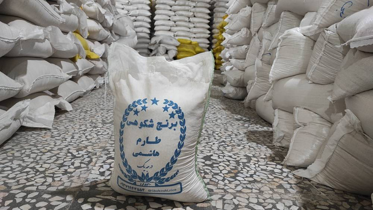 برنج طارم هاشمی اعلا 10 کیلویی