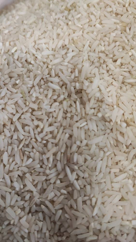 برنج سرلاشه طارم هاشمی معطر برند شکوزار