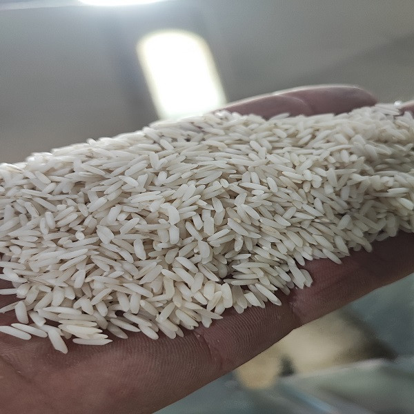 برنج طارم هاشمی اعلا، برند شکوزار بسته بندی وکیوم یک کیلو گرمی