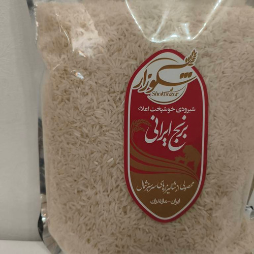 برنج شیرودی خوشپخت